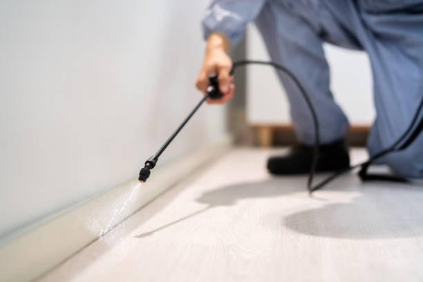 Licensed Fumigation Services service in Strasburg, OH - Nex Pest Control