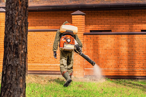 Trusted Cockroach Control service in Strasburg, OH - Nex Pest Control